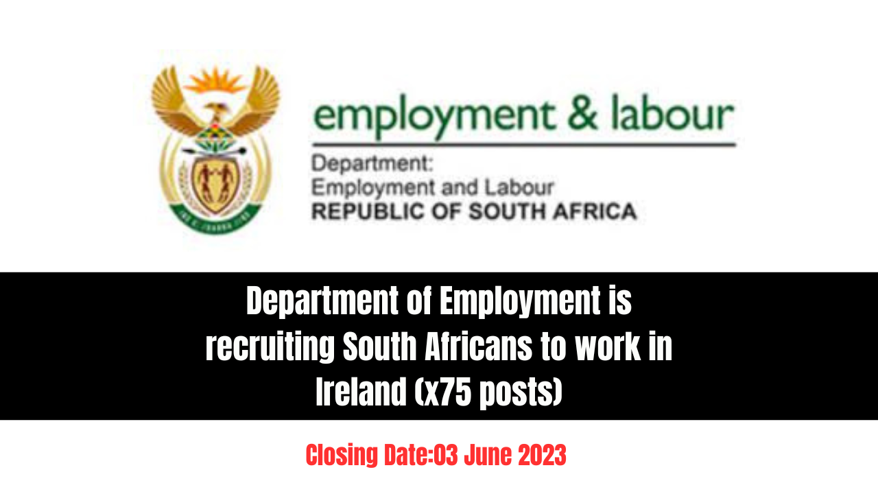 Department of Employment is recruiting South Africans to work in Ireland (x75 posts)