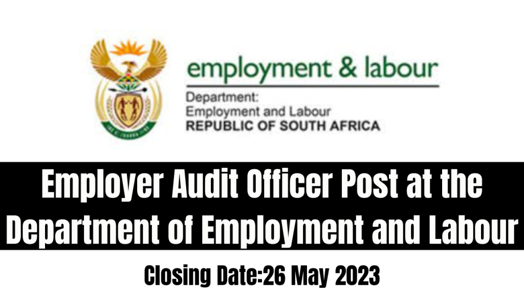 employer-audit-officer-post-at-the-department-of-employment-and-labour