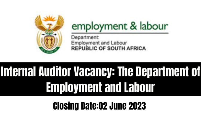 Internal Auditor Vacancy: The Department of Employment and Labour