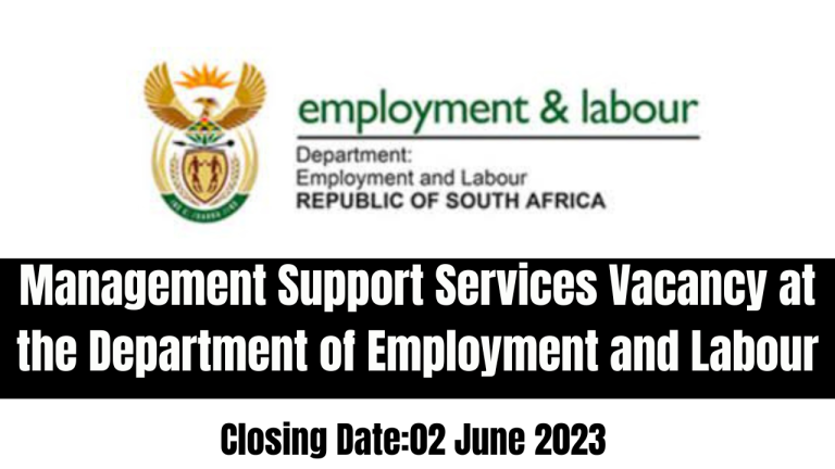 Management Support Services Vacancy at the Department of Employment and Labour