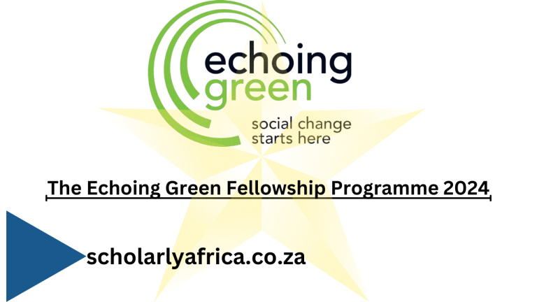 The Echoing Green Fellowship Programme 2024
